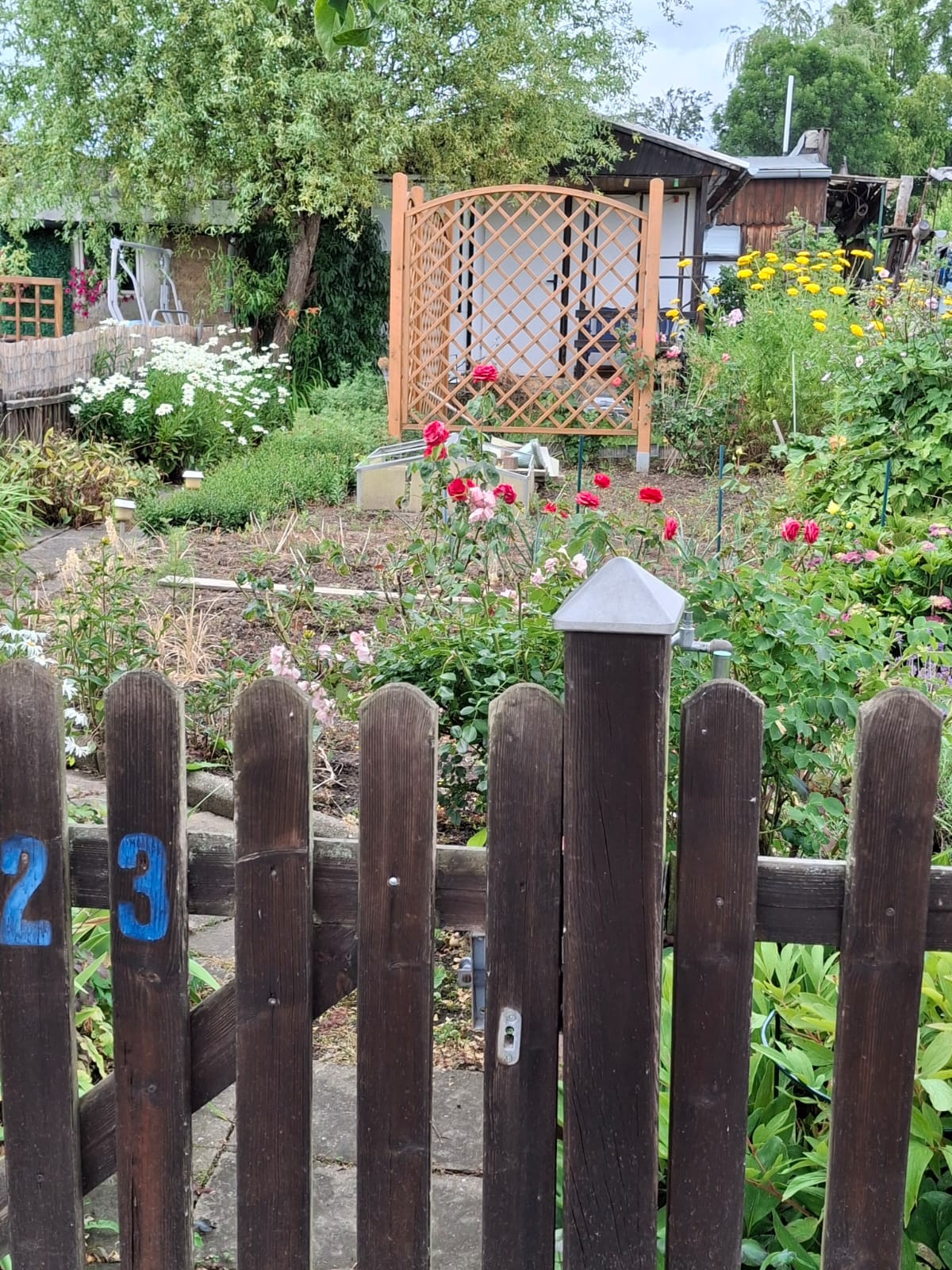 Foto Garten 23